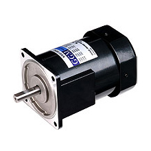 Induction Motor